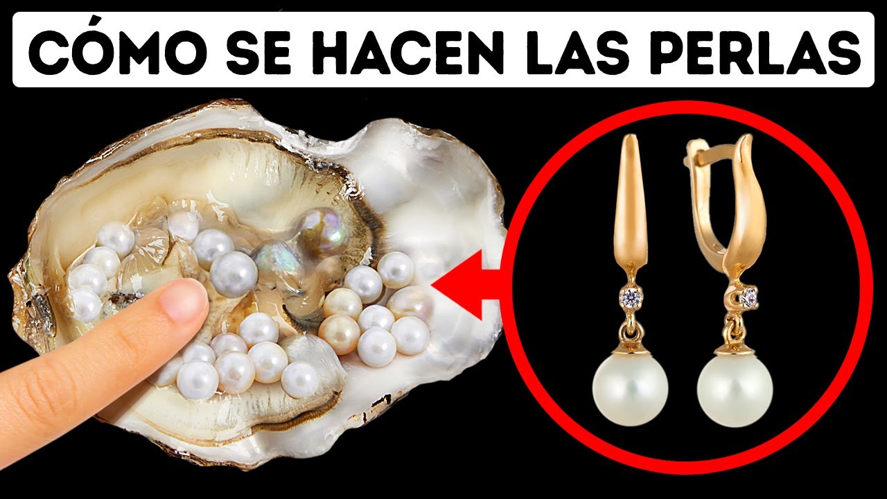 arousa ostras y productos del mar