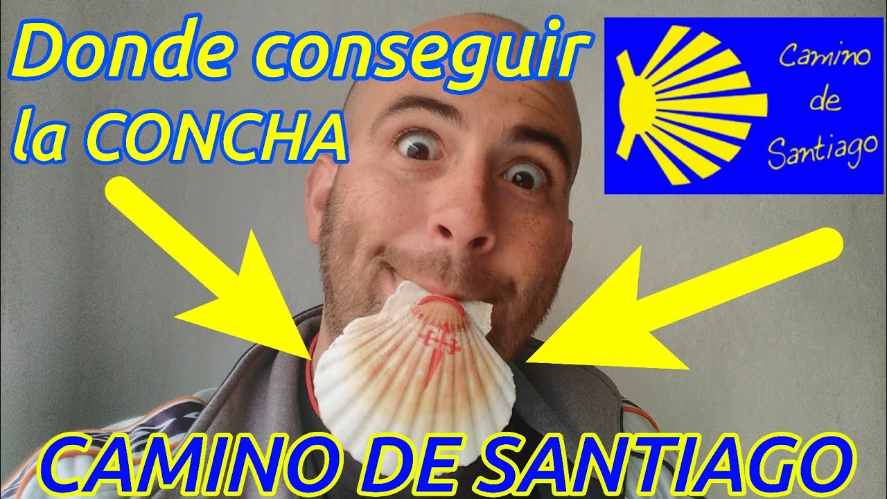 como conseguir la vieira del camino de santiago