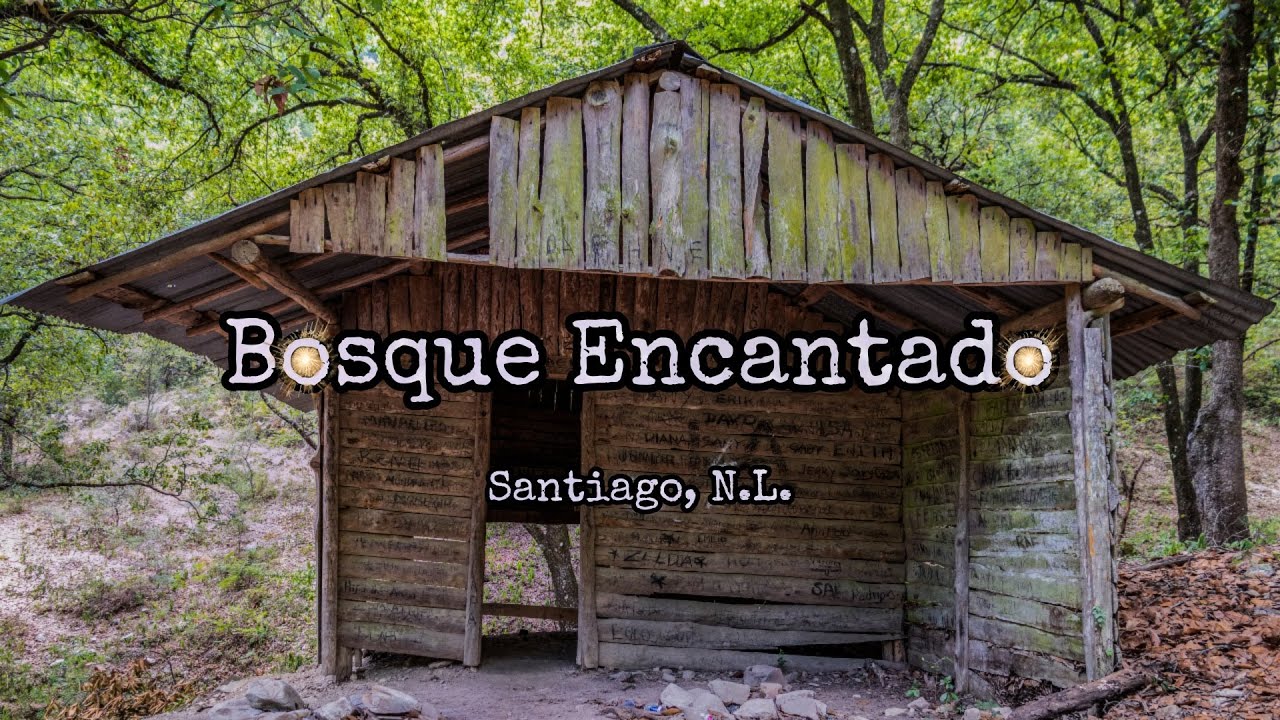 bosque encantado santiago de compostela