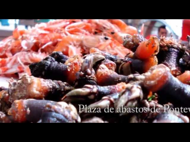 a batea do mercado pontevedra