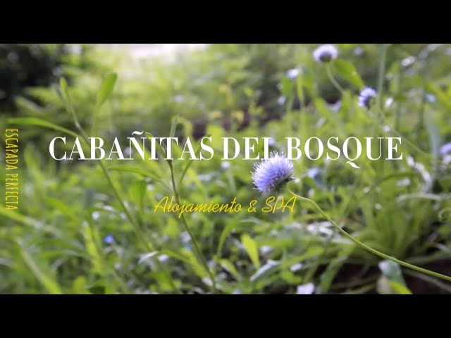 cabañitas del bosque a coruña