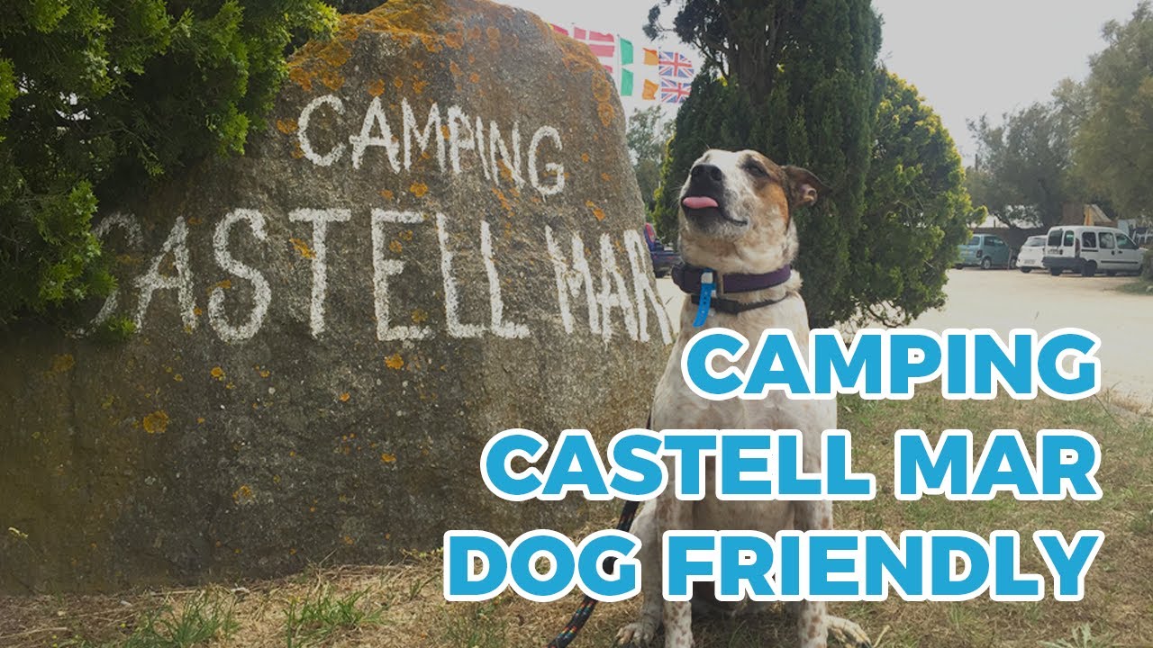 camping en vigo a pie de playa