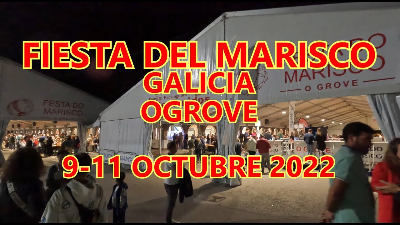 cuando es la fiesta del marisco en o grove