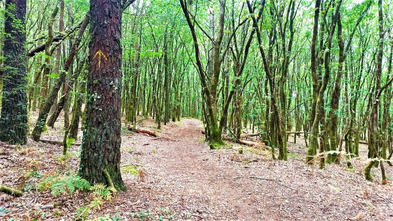 distancia de muxía a finisterre