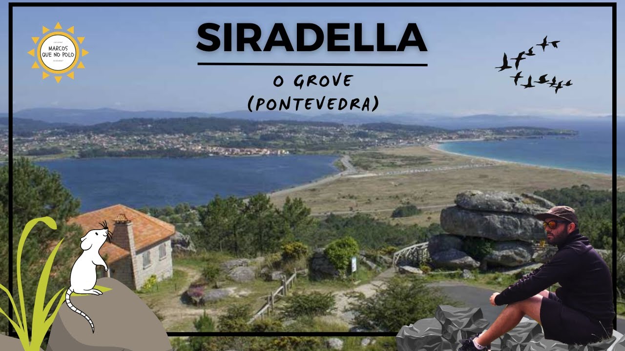 distancia entre o grove y pontevedra