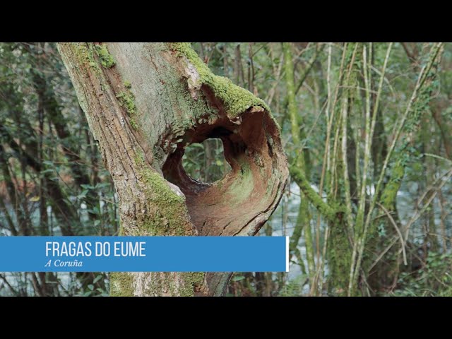 fragas do eume donde esta