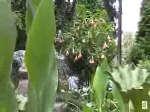 jardin botanico caldas de reis