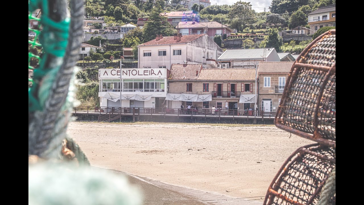 menú de marisquería a centoleira
