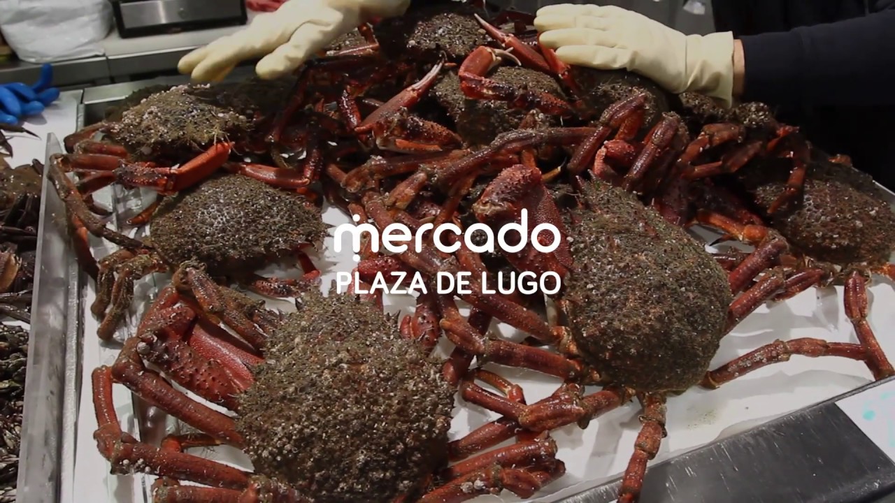 mercado de abastos a coruña