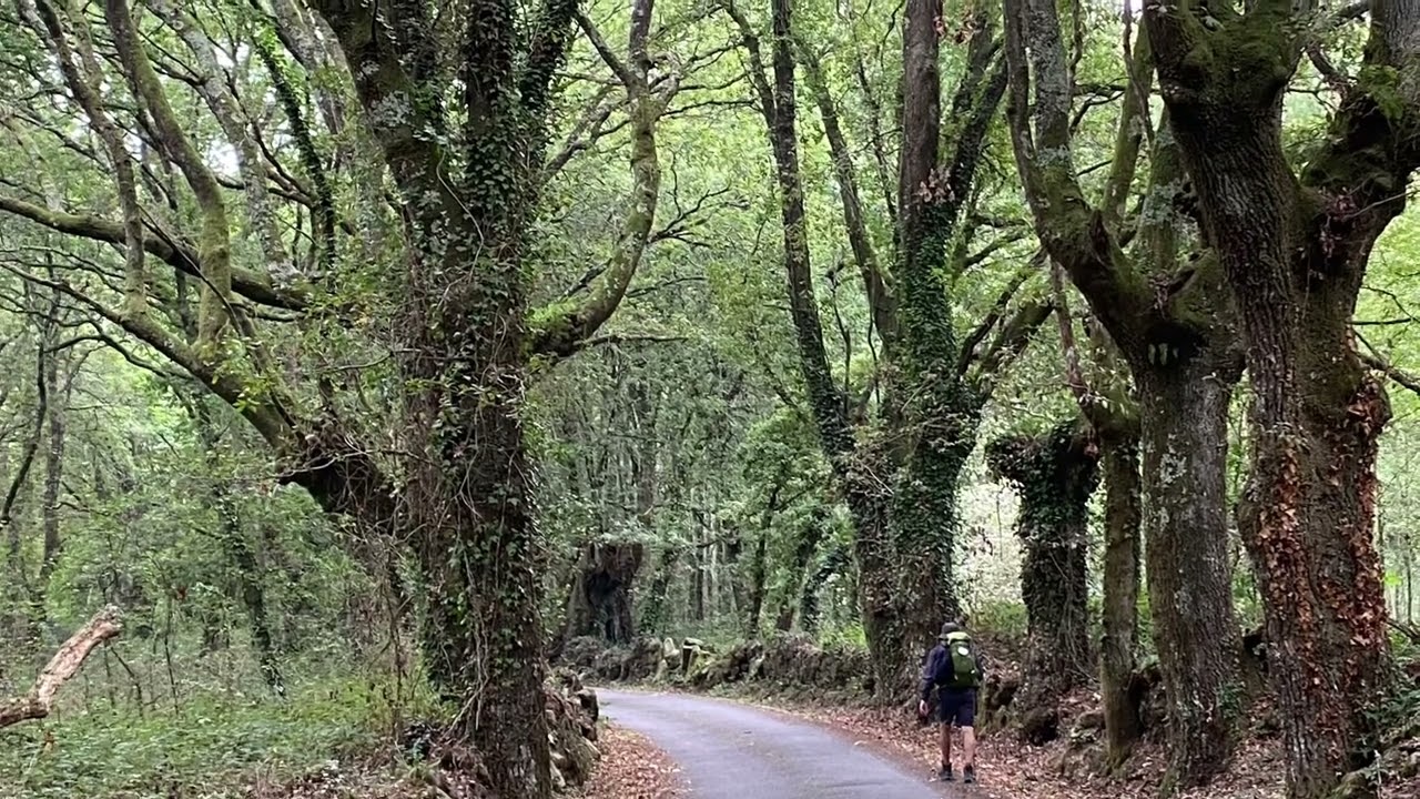 ourense santiago de compostela distance