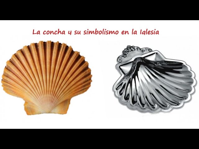 que significa la concha de santiago