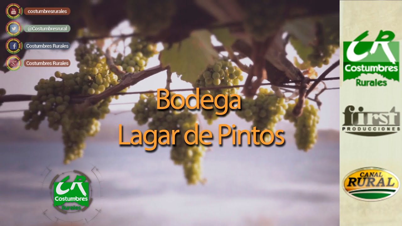 bodegas de albariño para visitar