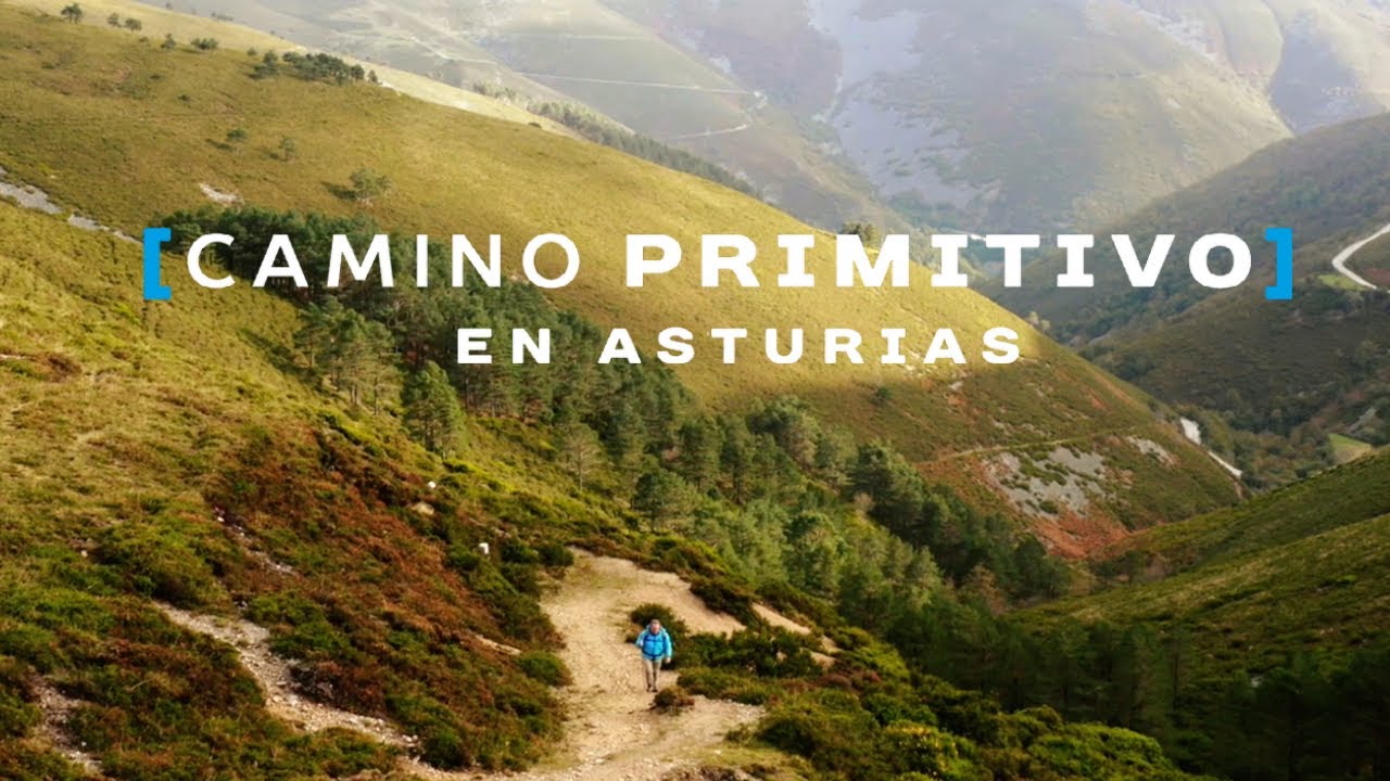 camino de santiago con más naturaleza