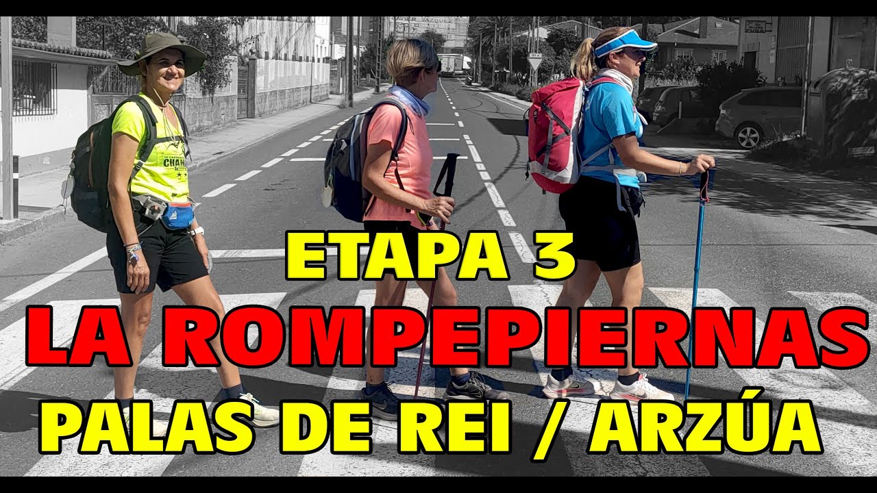 camino de santiago palas de rei arzua