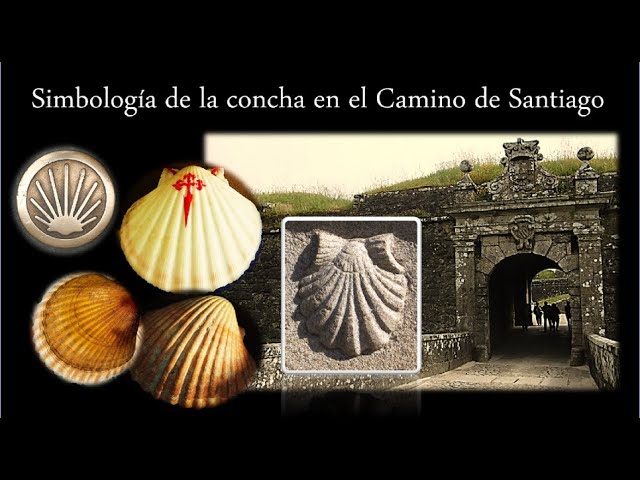 como se llama la concha del camino de santiago