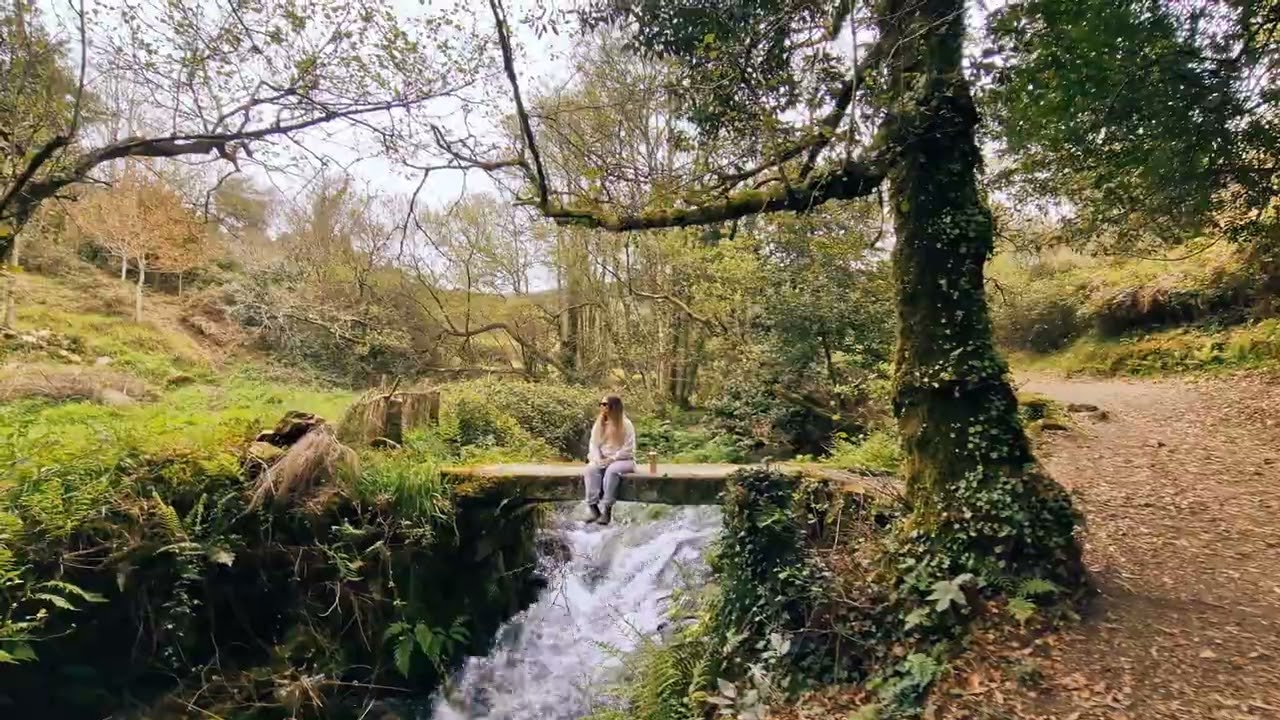 distancia entre o grove y cambados