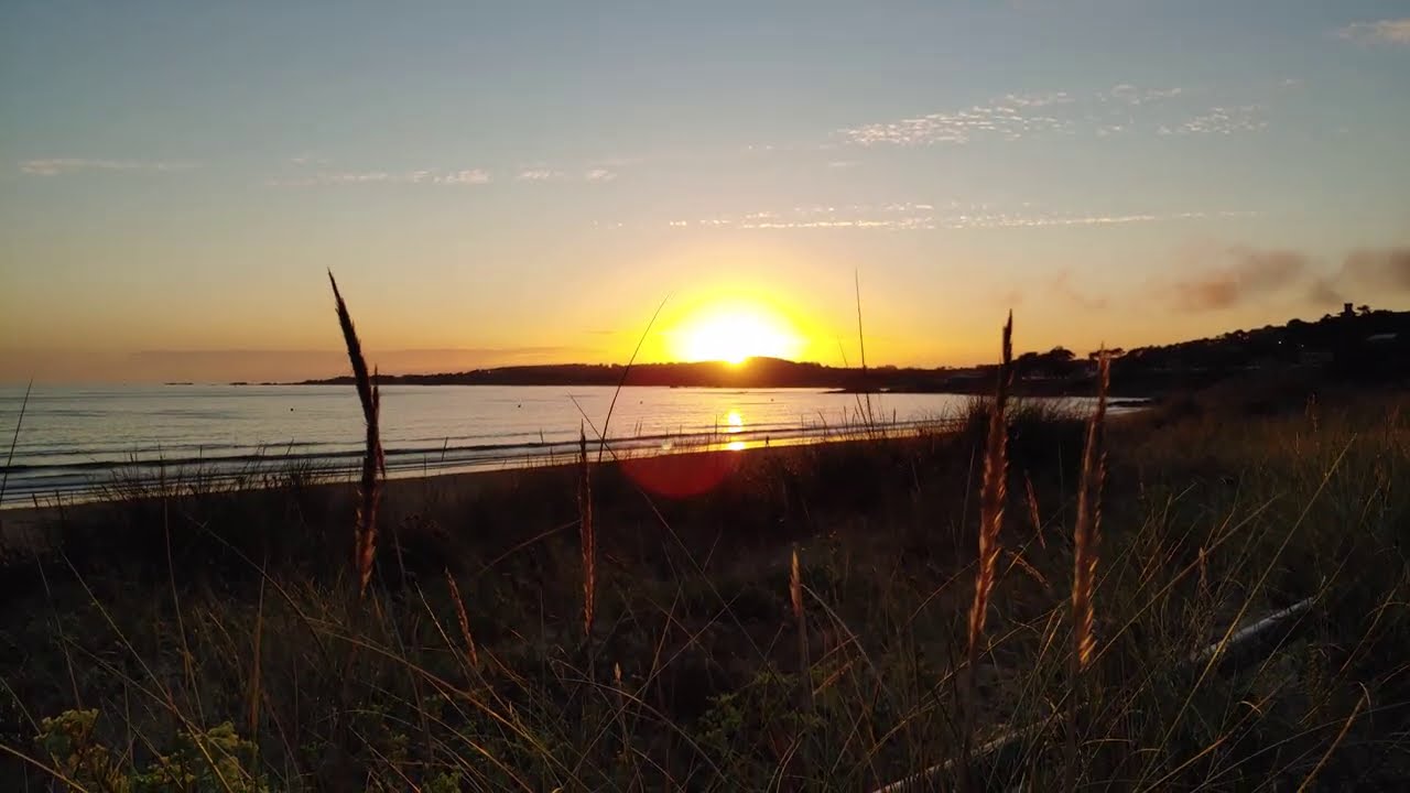 puesta de sol o grove