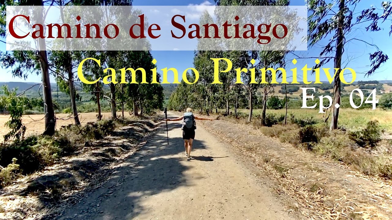 bus lugo a santiago de compostela