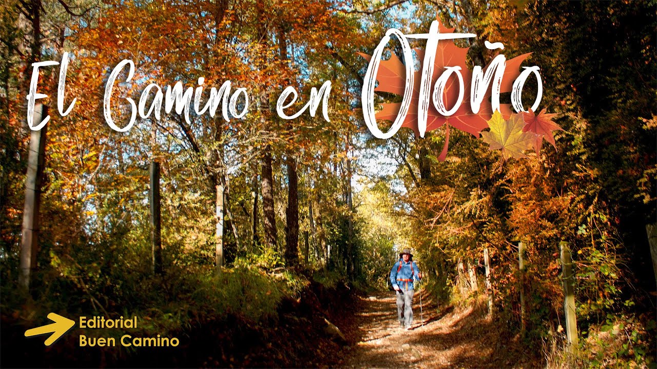 camino de santiago en otoño