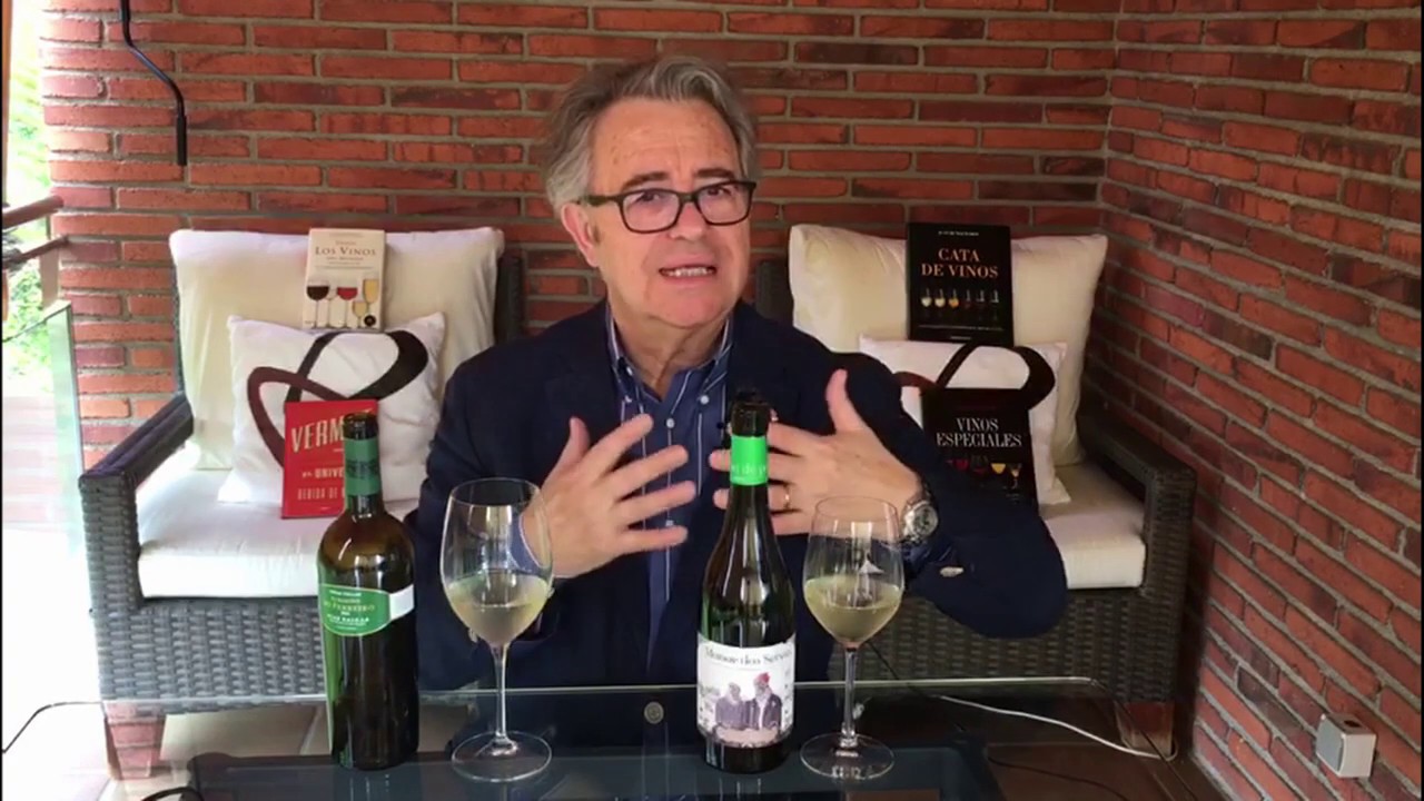 catas de vino en galicia