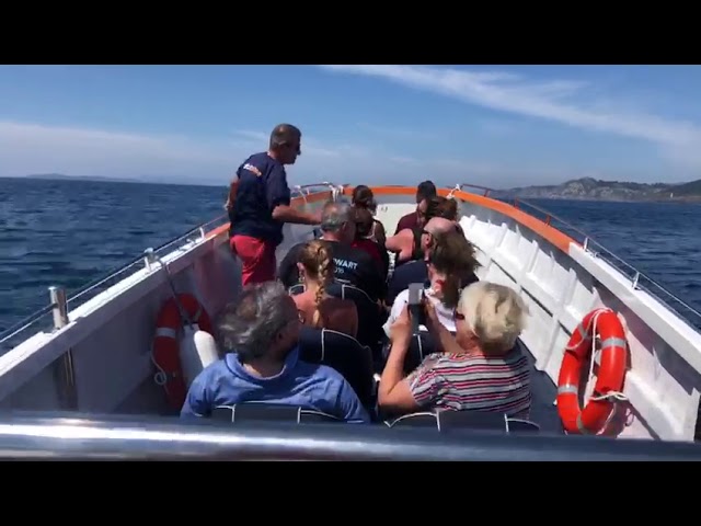 ferry islas cíes desde sanxenxo
