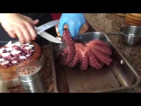 la casa del pulpo verin