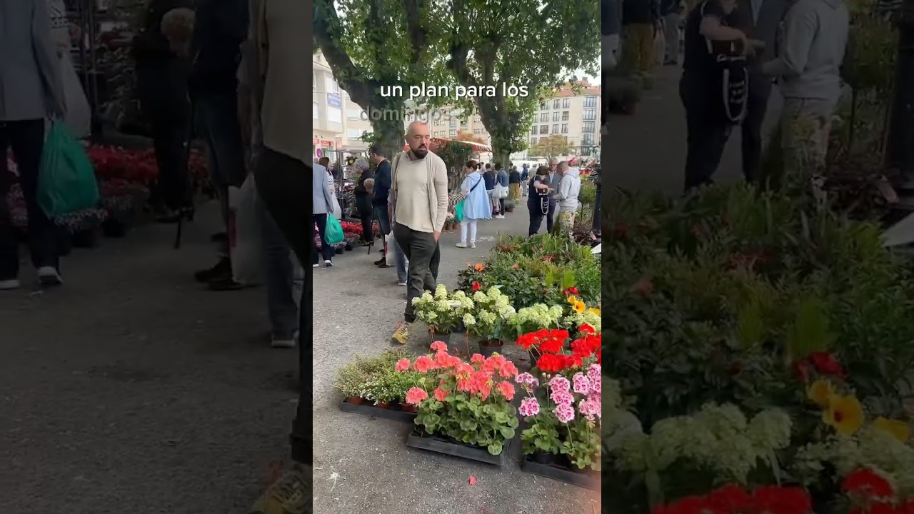 mercadillos en galicia los domingos