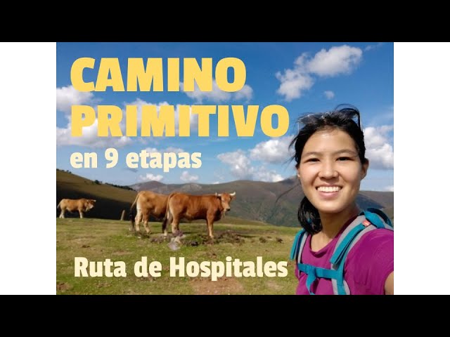 oviedo to santiago de compostela