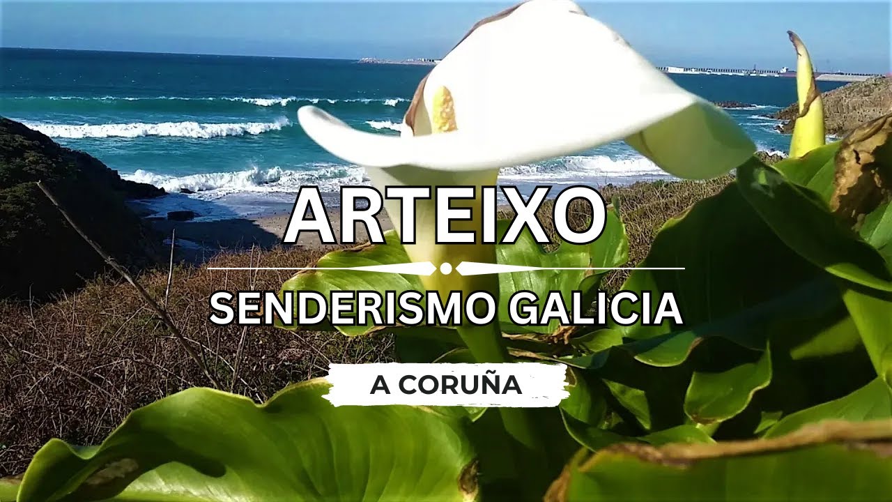 playa sabón arteixo como llegar