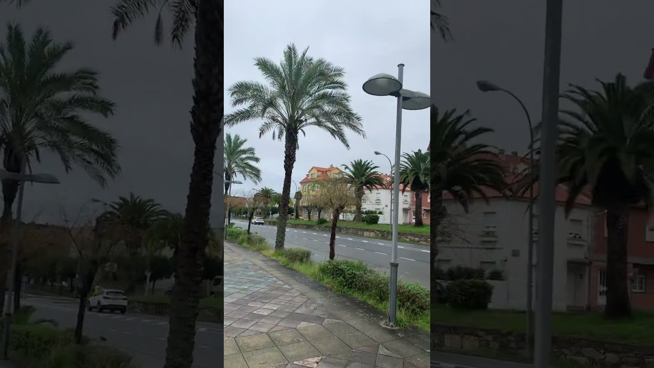 que ver en portonovo y alrededores