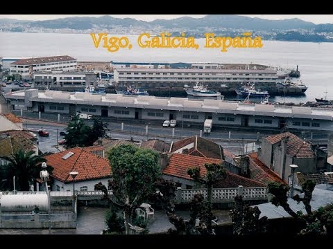 bus vigo viana do castelo