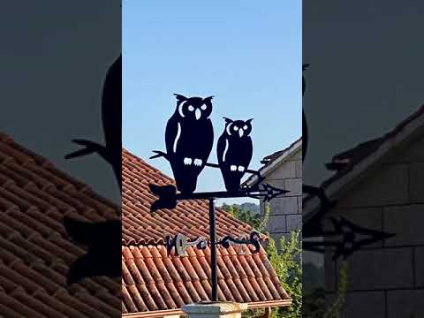 camino portugués por la costa desde vigo
