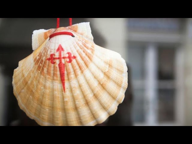 por que la concha en el camino de santiago